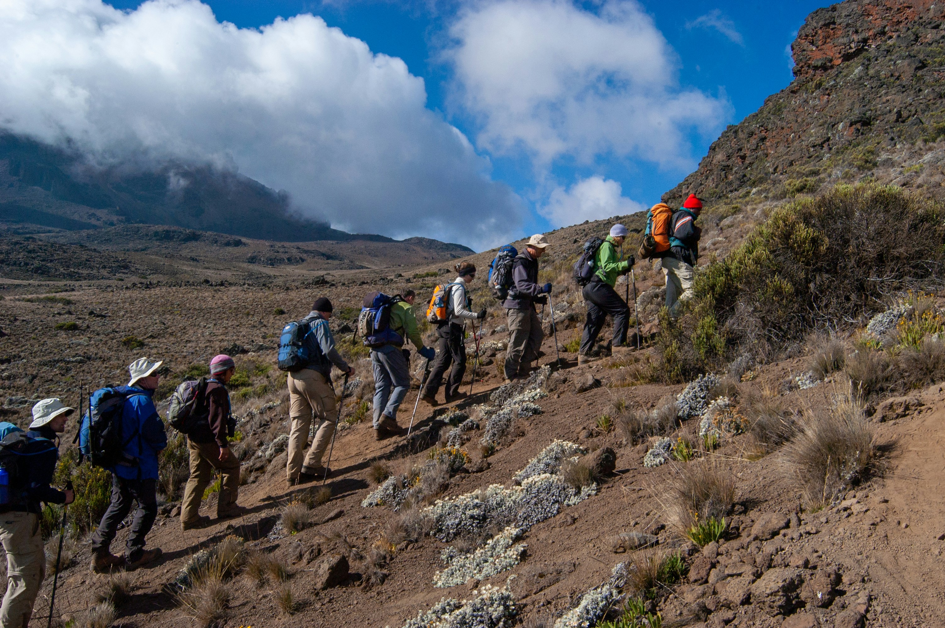 Moorland trail on the lower slopes of Mount Kenya